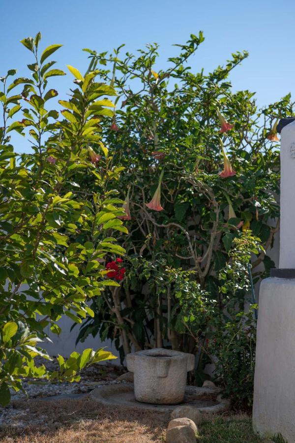 Los Anos Locos Conil De La Frontera Bagian luar foto